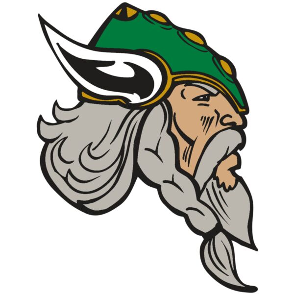 AR VIKING 49 RC Vignette