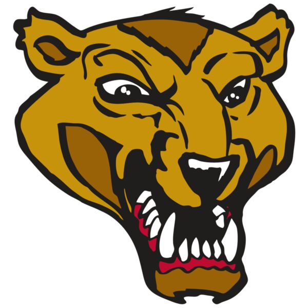 AR2 WOLVERINE 01 RQC Vignette