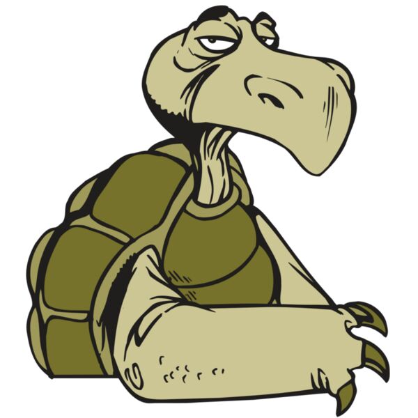 AR5 Turtle 01 RQC Vignette