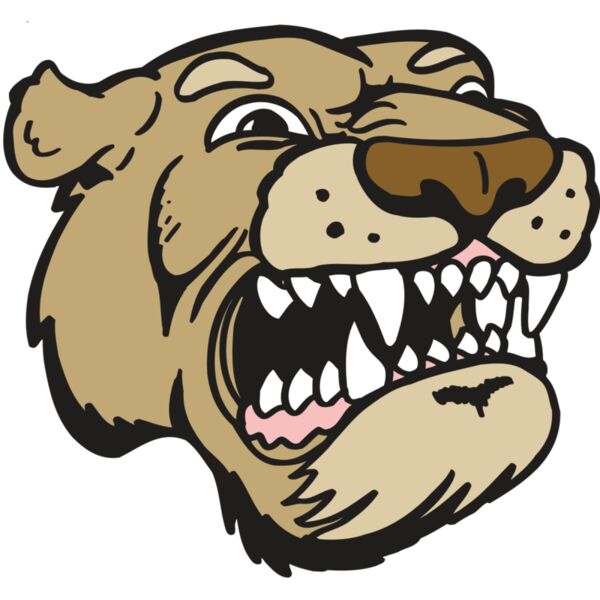 AR5 COUGAR 04 RQC Vignette