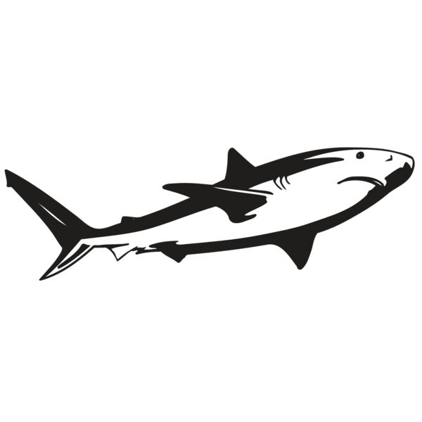 AR5 Shark 15 RQC Vignette