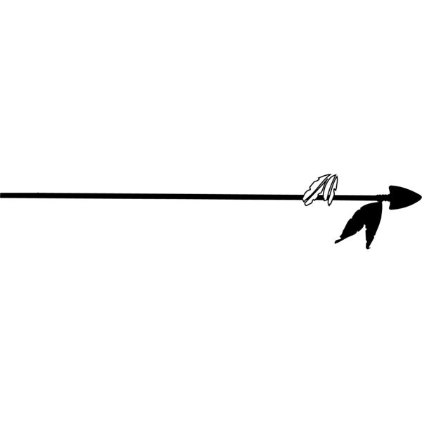 ARROW01 Vignette