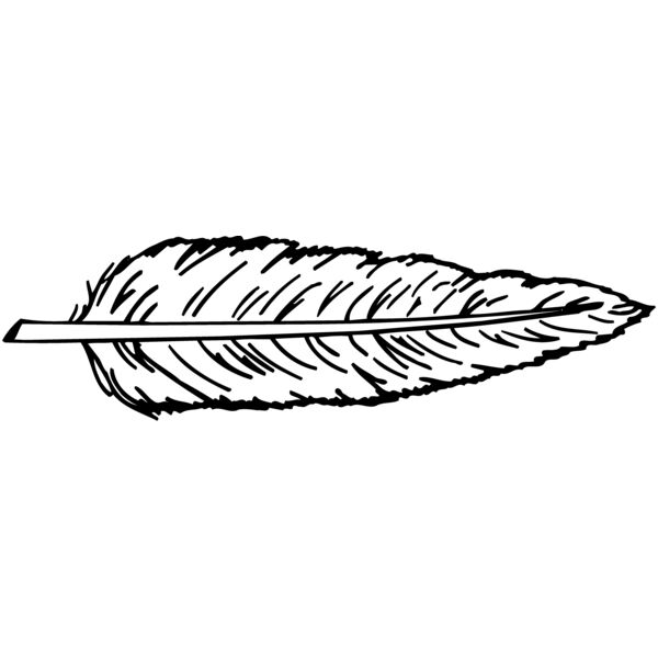 FEATHER Vignette