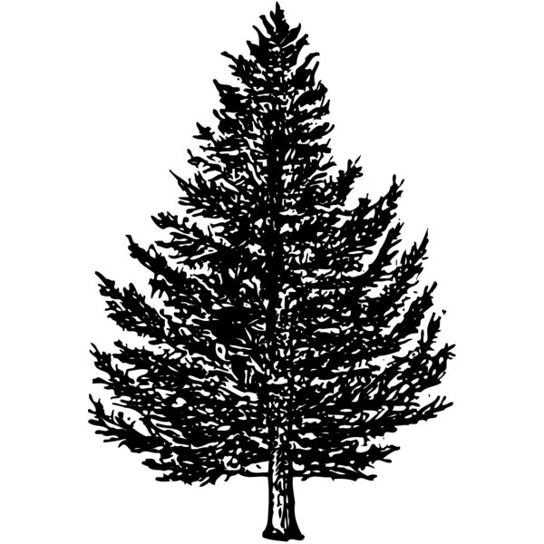 TREE0005 Vignette