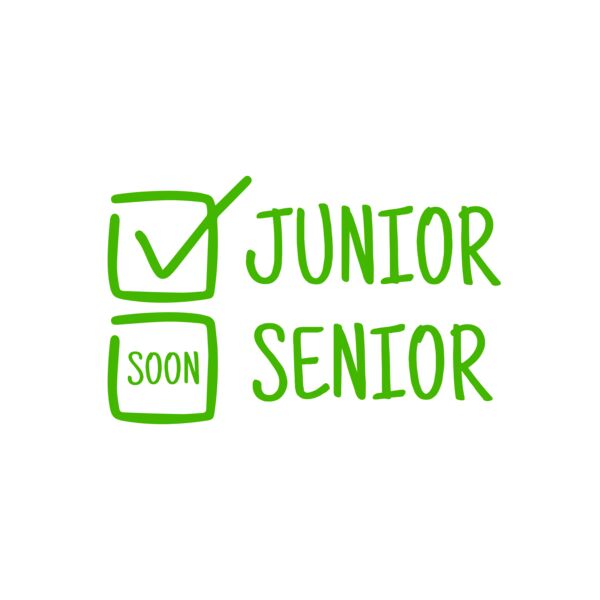 School Statement 24 Vignette