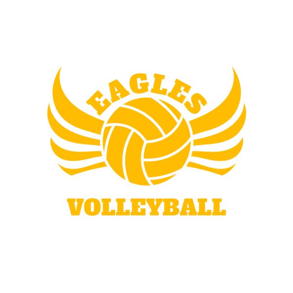 Volleyball 11 Vignette