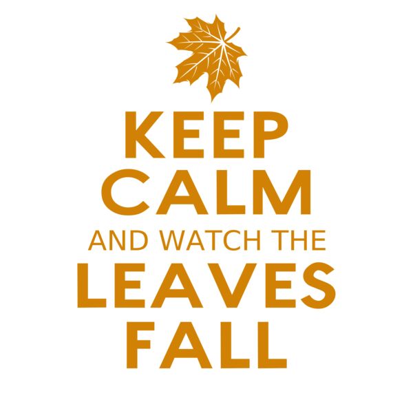 Fall Season 04 Vignette