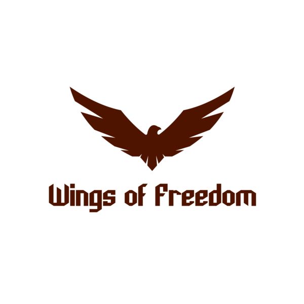 Air Force 05 Vignette