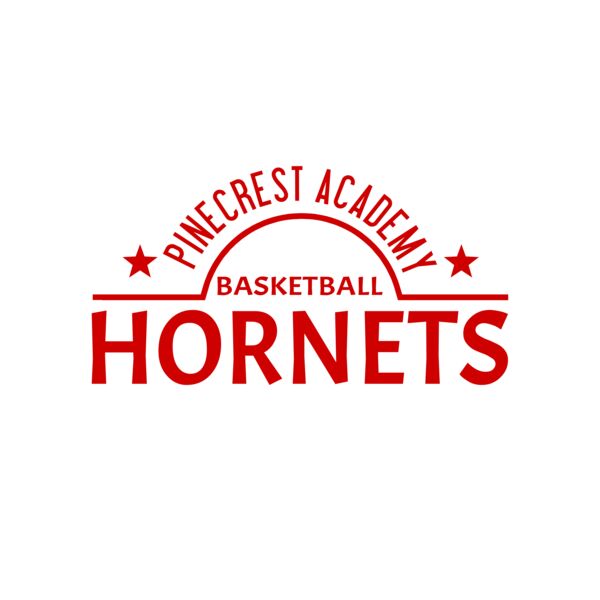 Basketball 012 Vignette