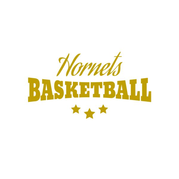 Basketball 017 Vignette