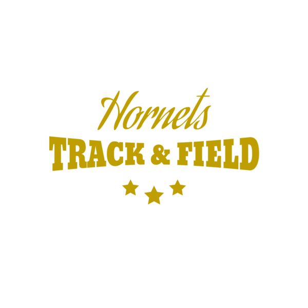 Track and Field 017 Vignette