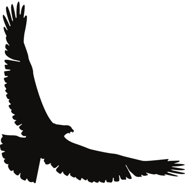 Eagle   Clipart 2 Vignette