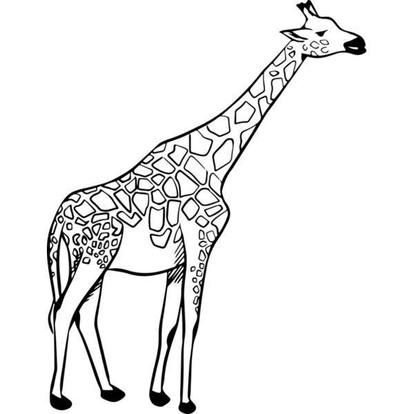 Giraffe   Clipart 2 Vignette