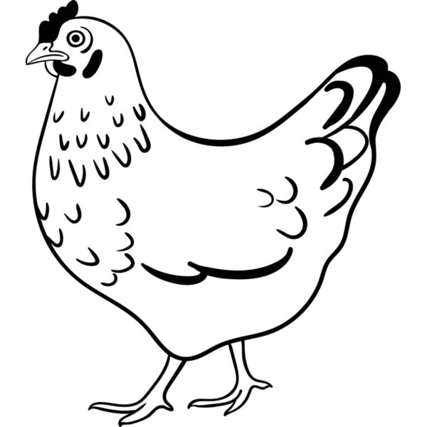 Hen   Clipart 2 Vignette