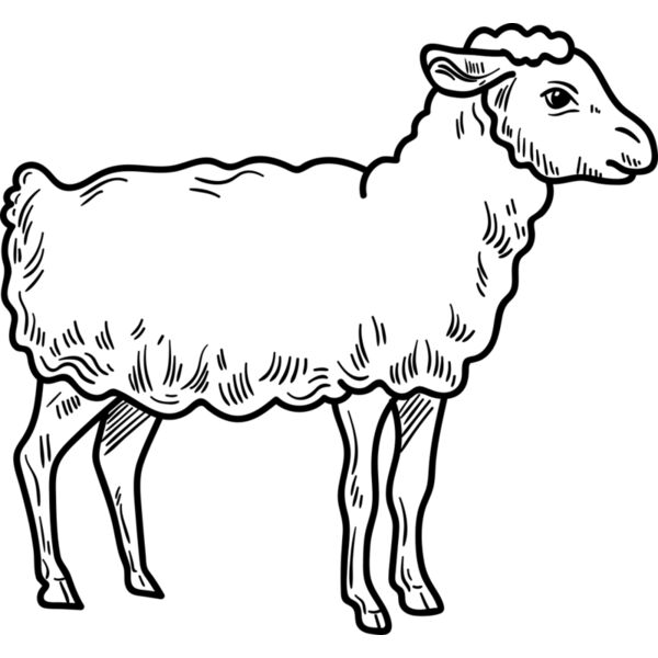 Lamb   Clipart 3 Vignette