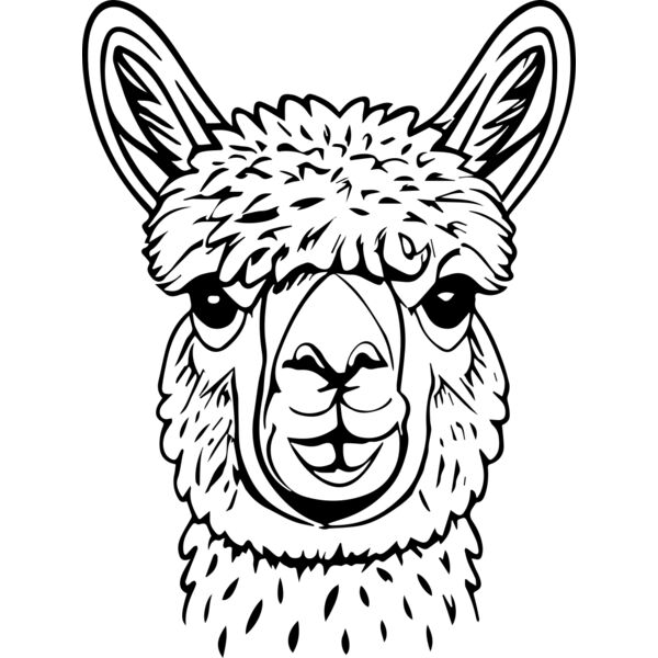 Lllama   Clipart 3 Vignette