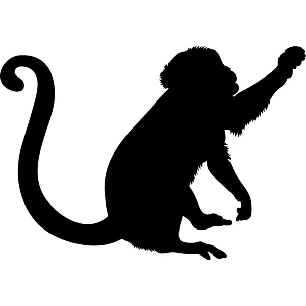 Monkey   Clipart 2 Vignette