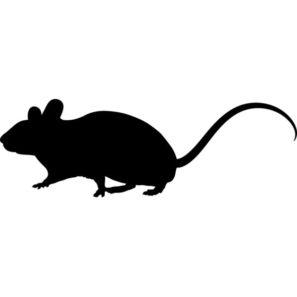 Mouse   Clipart 1 Vignette