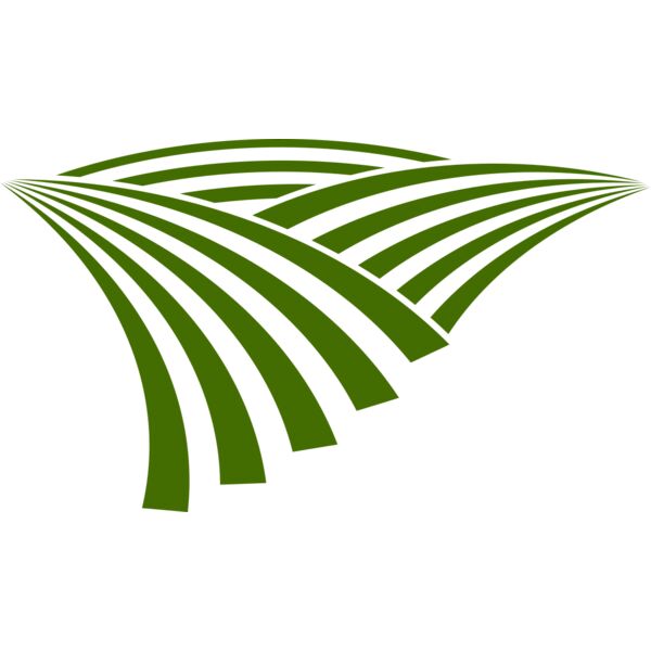 71 Rice Field Vignette