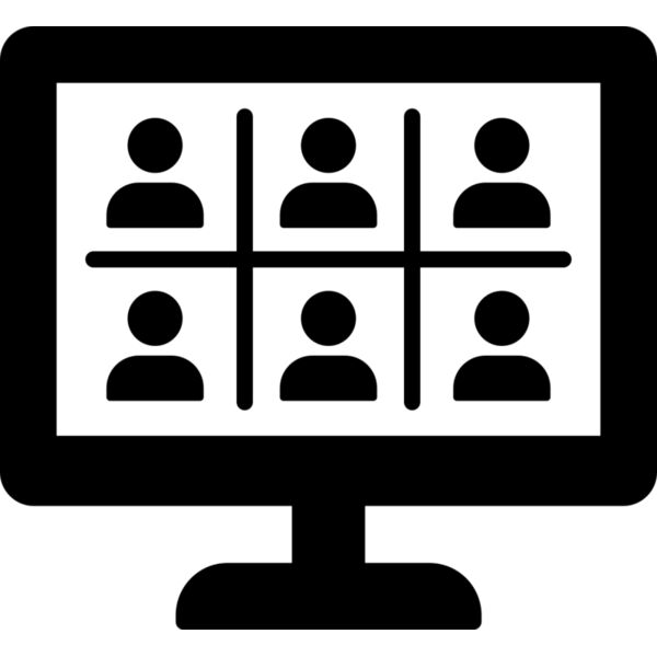 20 Online Meeting Vignette