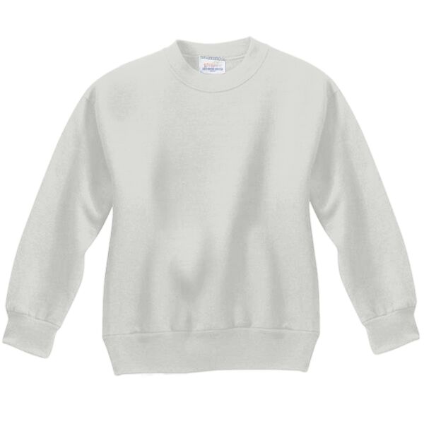 Youth Comfortblend ® Crewneck Sweatshirt Vignette