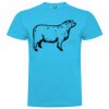 T-shirt Adulte, Awu Adodoé Braco Vignette