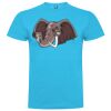 T-shirt Enfant, Awu Adodoé Braco de marque Roly Vignette