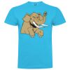 T-shirt Enfant, Awu Adodoé Braco de marque Roly Vignette