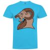 T-shirt Enfant, Awu Adodoé Braco de marque Roly Vignette