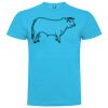 T-shirt Enfant, Awu Adodoé Braco de marque Roly Vignette