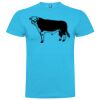 T-shirt Enfant, Awu Adodoé Braco de marque Roly Vignette