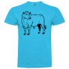 T-shirt Enfant, Awu Adodoé Braco de marque Roly Vignette