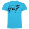 T-shirt Enfant, Awu Adodoé Braco de marque Roly Vignette