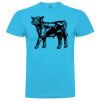 T-shirt Enfant, Awu Adodoé Braco de marque Roly Vignette