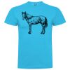 T-shirt Enfant, Awu Adodoé Braco de marque Roly Vignette