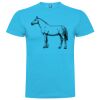 T-shirt Enfant, Awu Adodoé Braco de marque Roly Vignette