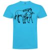 T-shirt Enfant, Awu Adodoé Braco de marque Roly Vignette