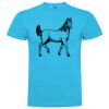 T-shirt Enfant, Awu Adodoé Braco de marque Roly Vignette