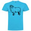 T-shirt Enfant, Awu Adodoé Braco de marque Roly Vignette