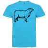 T-shirt Enfant, Awu Adodoé Braco de marque Roly Vignette