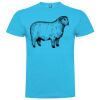 T-shirt Enfant, Awu Adodoé Braco de marque Roly Vignette
