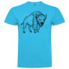 T-shirt Enfant, Awu Adodoé Braco de marque Roly Vignette