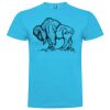 T-shirt Enfant, Awu Adodoé Braco de marque Roly Vignette