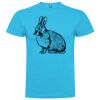 T-shirt Enfant, Awu Adodoé Braco de marque Roly Vignette