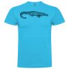 T-shirt Enfant, Awu Adodoé Braco de marque Roly Vignette