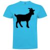 T-shirt Enfant, Awu Adodoé Braco de marque Roly Vignette