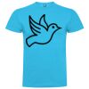 T-shirt Enfant, Awu Adodoé Braco de marque Roly Vignette