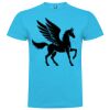 T-shirt Enfant, Awu Adodoé Braco de marque Roly Vignette