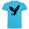 T-shirt Enfant, Awu Adodoé Braco de marque Roly Vignette